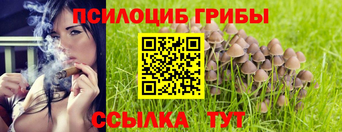 Мирный  Галлюциногенные грибы Psilocybine cubensis  Вход с VPN 